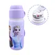 DOUBLE WALL SS BOTTLE
